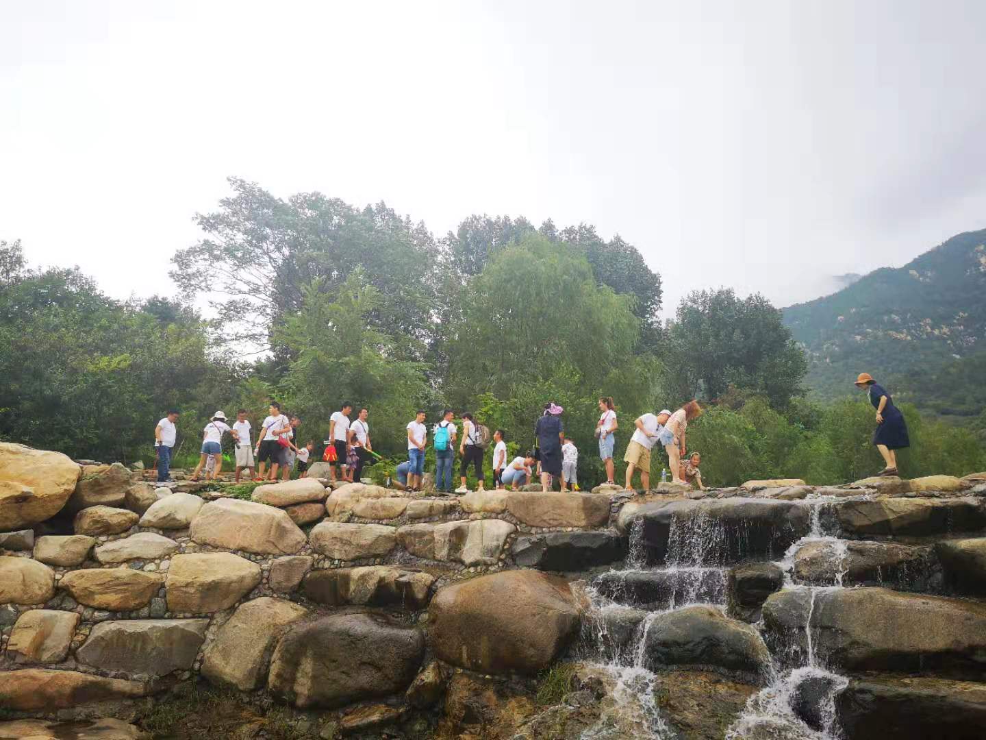 1564977441759104.jpg 5.jpg